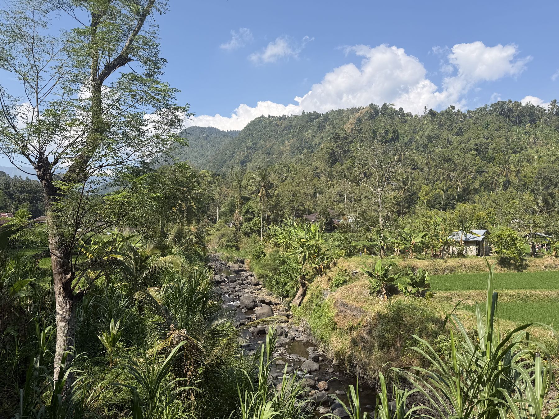 A boulder stream cutting through the valley below the village