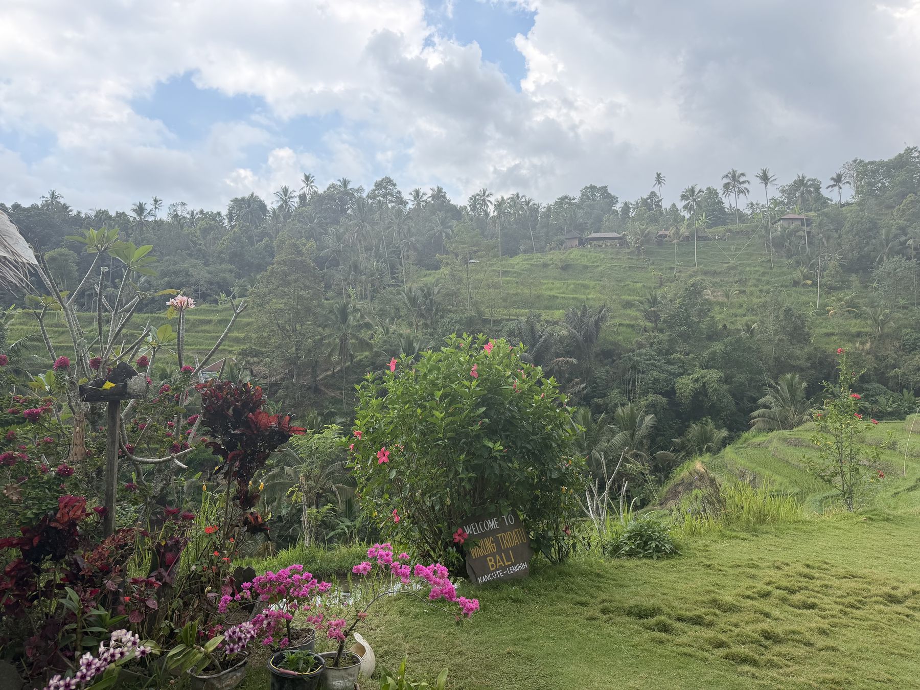 Hand-painted warung sign above terraced fields and a flowering garden